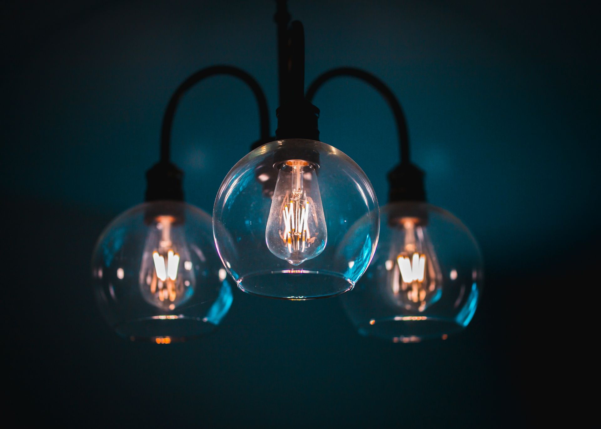 close-up photography of lighted bulbs